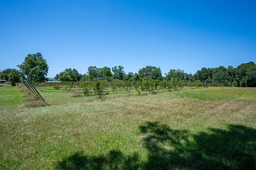 20545 Farm To Market 92 S, Fred, TX 77616 - #3