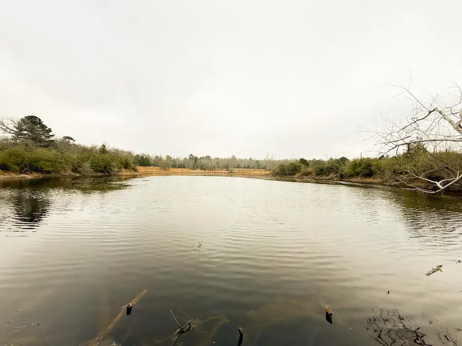 11695 Fm 1511, Buffalo, TX 75831 - Image #3