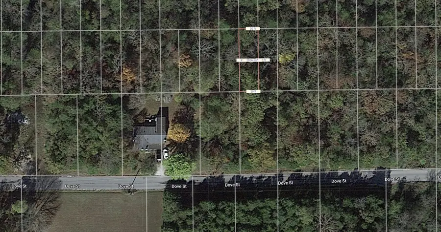 Lot 63 Dove Street, Diamond City, Ar 72644 - #2