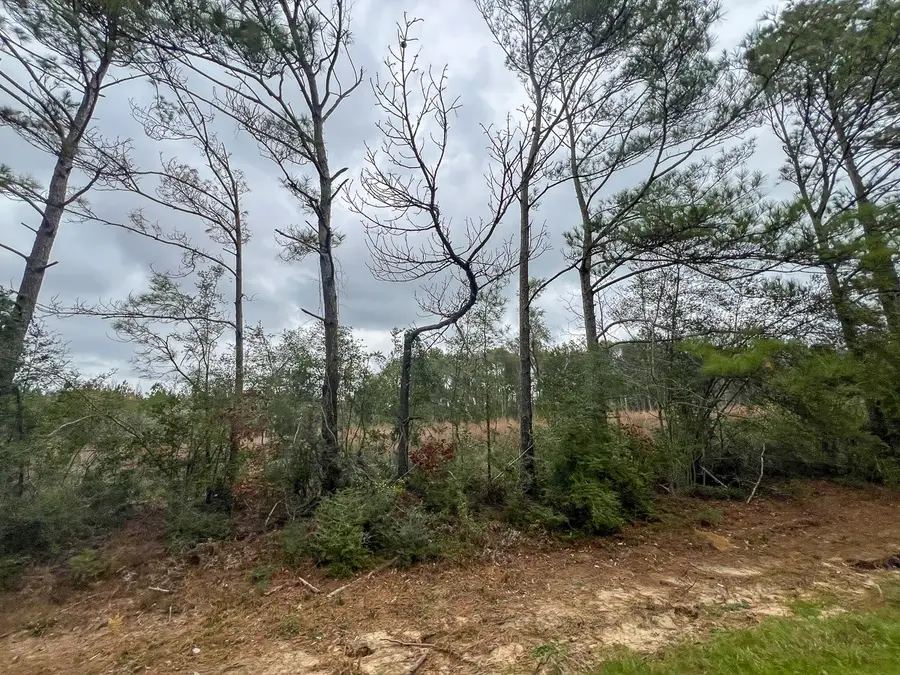 T-4 Highway 190, Newton, TX 75966 - #3