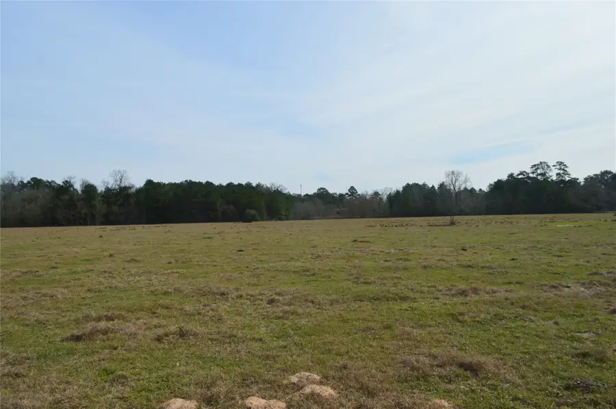 TBD000 Wiggins, Conroe, TX 77302 - Image #3