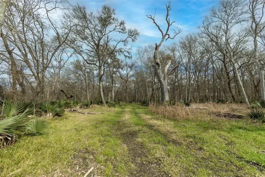 0 Fm 2429, Bellville, TX 77418 - #2