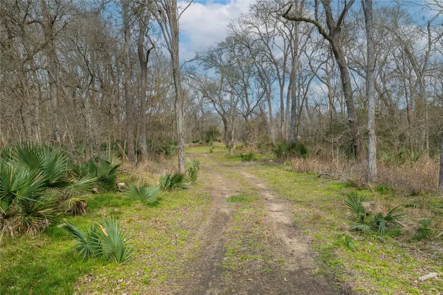 0 Fm 2429, Bellville, TX 77418 - #3