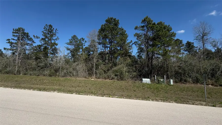 126 Great Plains Way, New Waverly, TX 77358 - #3