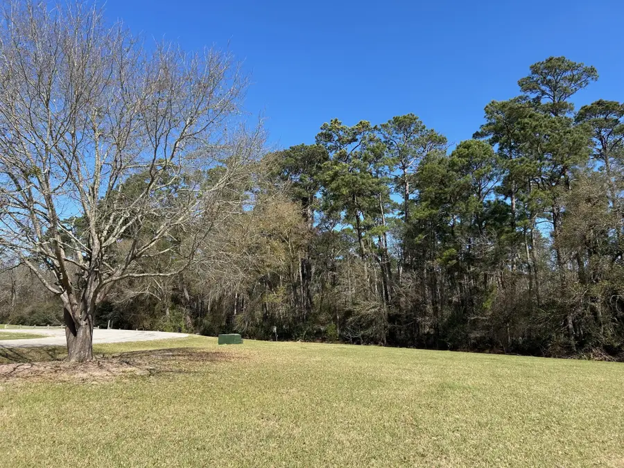 7 Wildwood Lake Drive, Huntsville, TX 77340 - #2