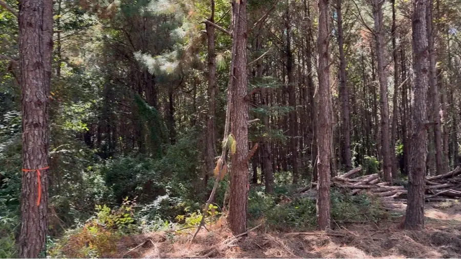 3920 Fm-1987, Corrigan, TX 75939 - Image #2