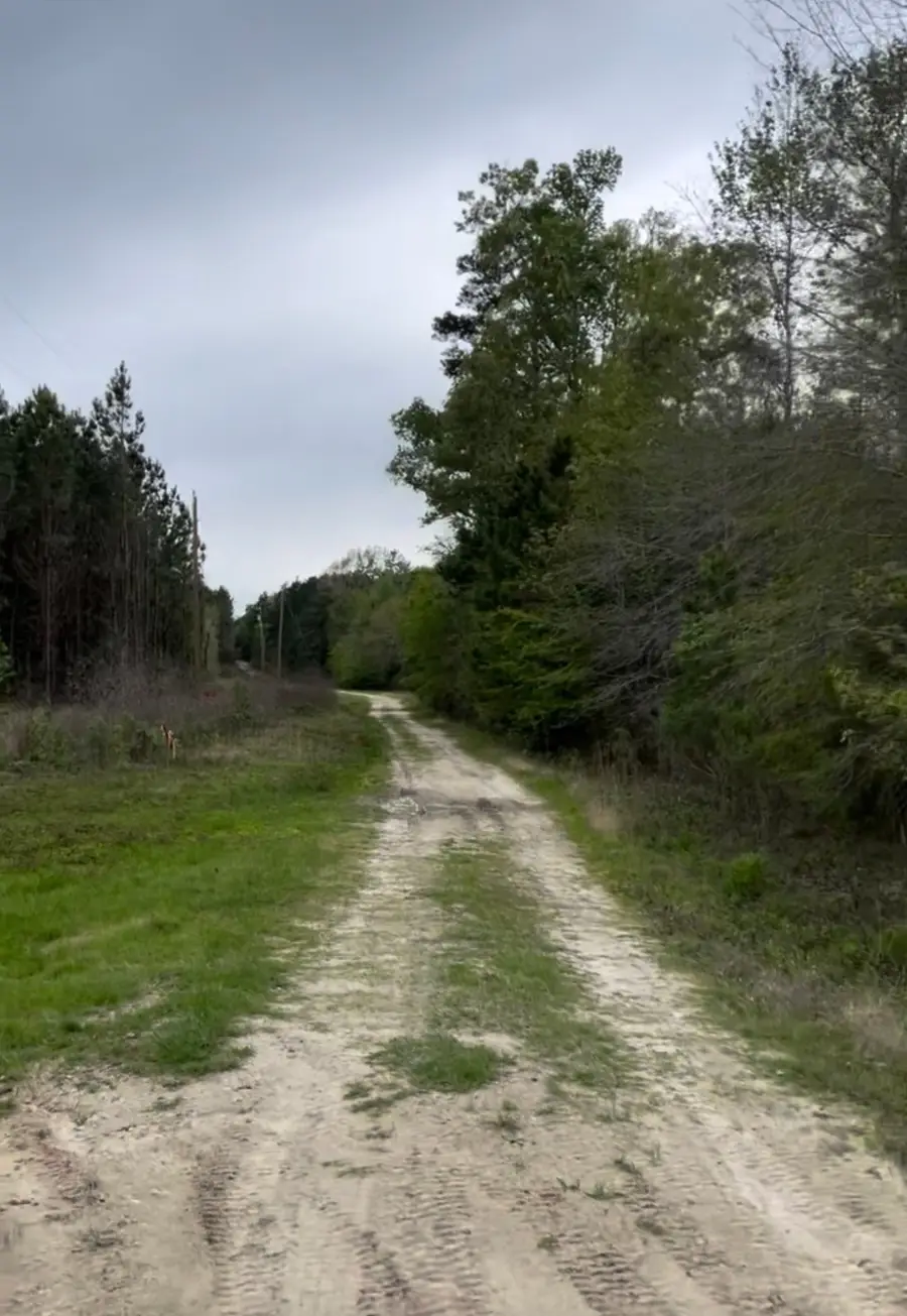 3920 Fm-1987, Corrigan, TX 75939 - Image #3