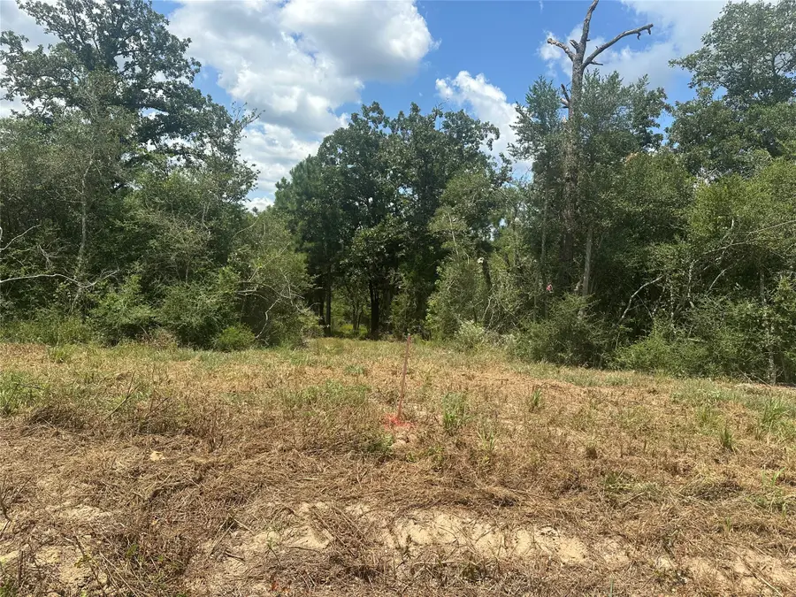0 County Road 322, Jewett, TX 75846 - #3