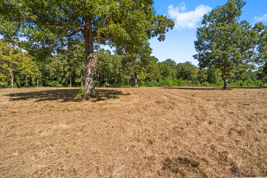 272 Spitaleri, Onalaska, TX 77360 - Image #2