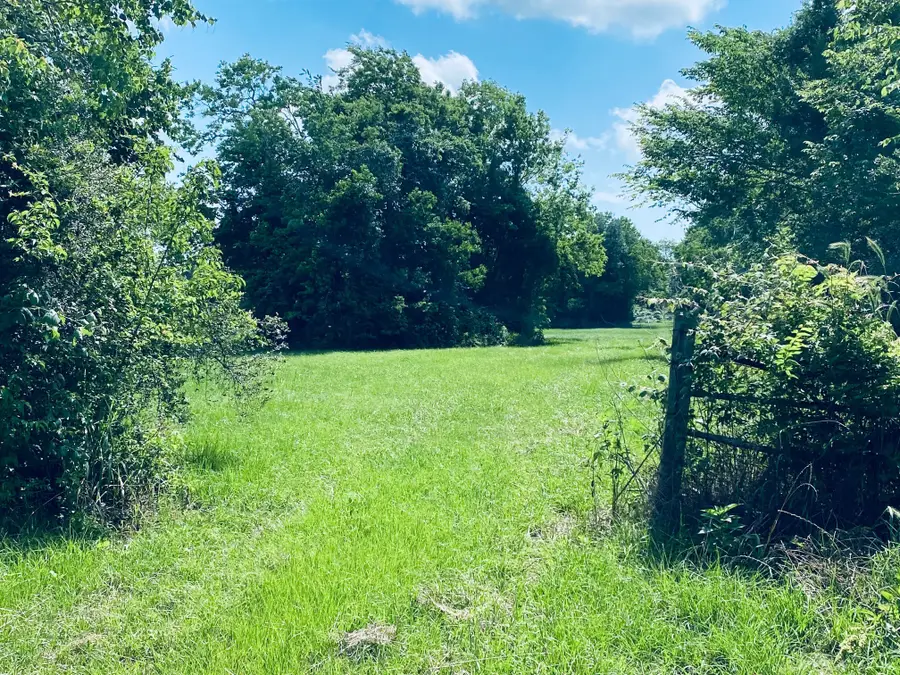 1717 Caroline Street, Dickinson, TX 77539 - Image #2