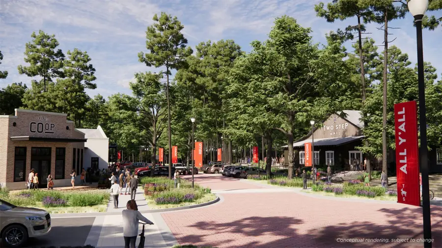 11267 Dance Hall Drive, Montgomery, TX 77316 - Image #2