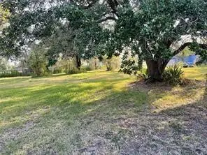 0 Travis Avenue, Sweeny, TX 77480 - #2