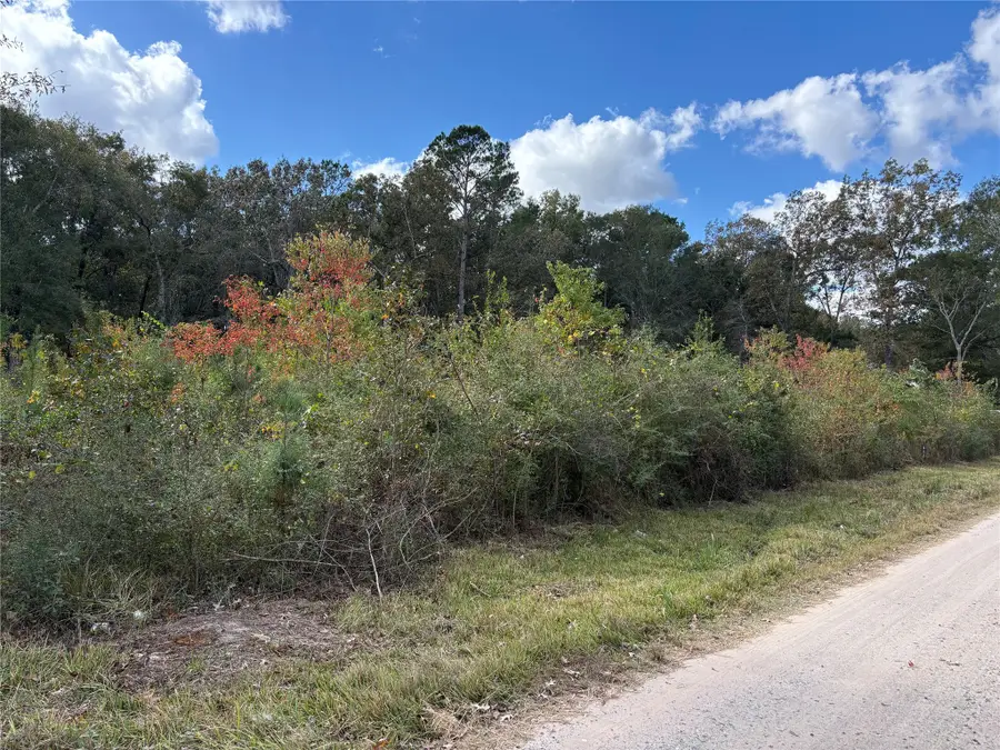 27404 Coral, Splendora, TX 77372 - Image #2