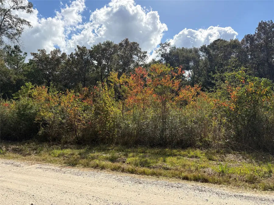 27404 Coral, Splendora, TX 77372 - Image #3