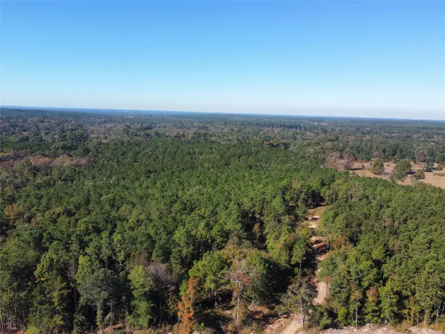 781 Sand Country Road, Jefferson, TX 75657 - Image #3