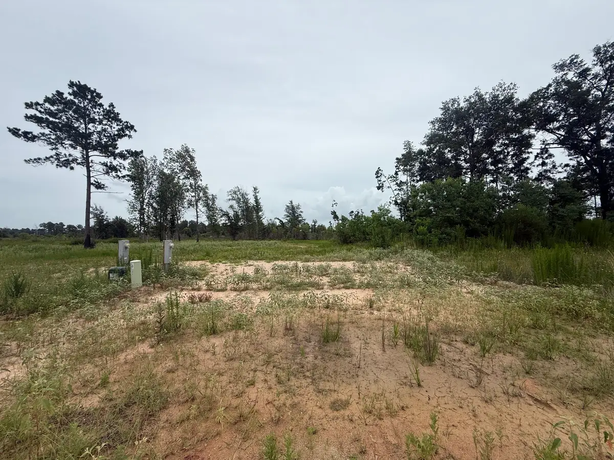 386 Road 5879, Cleveland, TX 77327 - #1