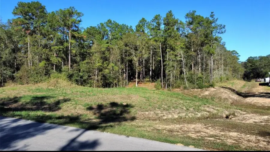 435 County Road 6324, Dayton, TX 77535 - Image #3