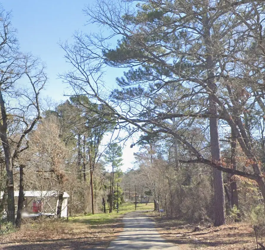 0 Forest Hill Drive, Brownsboro, TX 75763 - Image #3