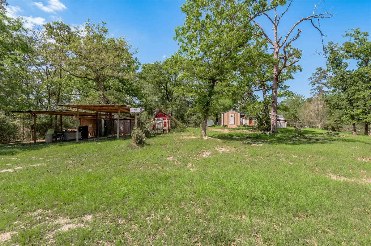 163 Black Walnut Street, Trinity, TX 75862 - #1