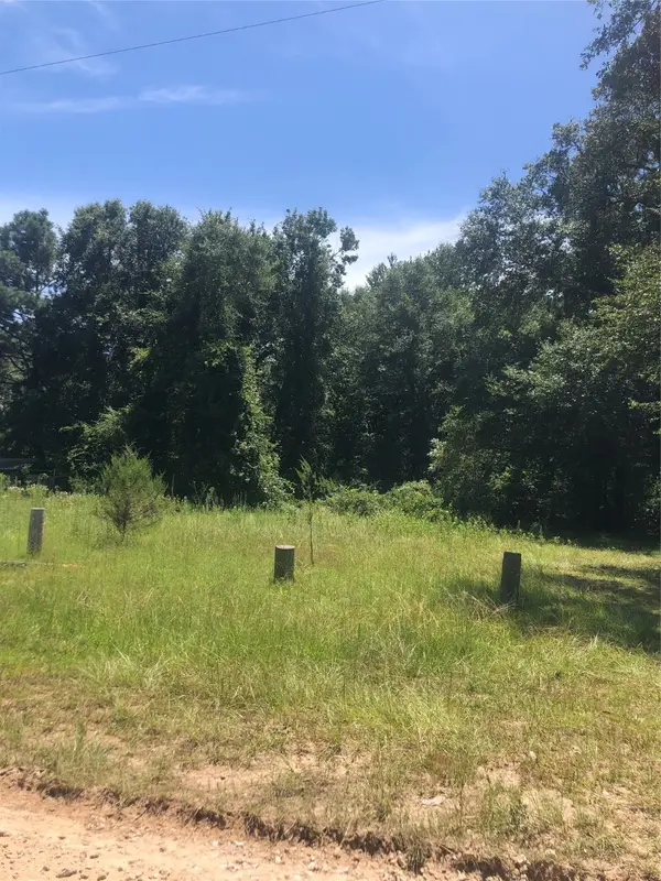 390 Story Drive, Livingston, TX 77351