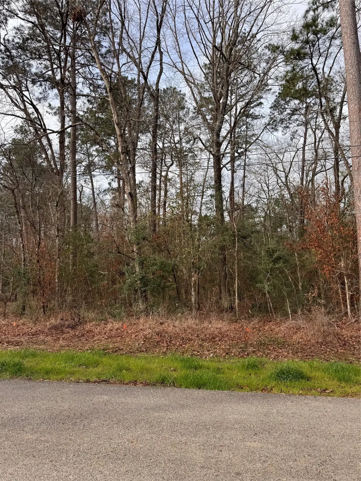 121 Indian Creek Cir Circle, Willis, TX 77378 - #1