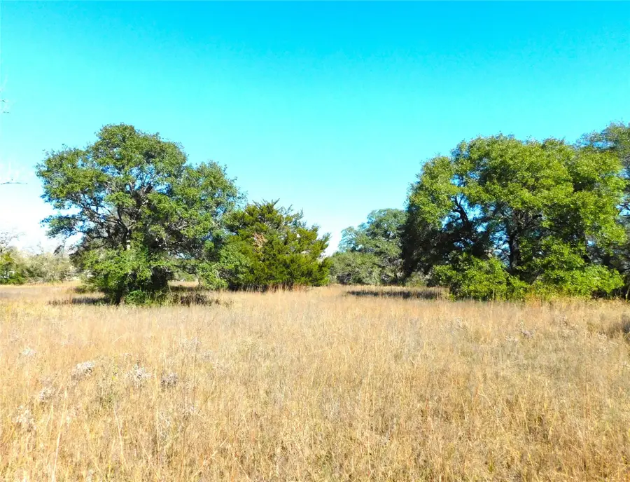 11145 Mt Falls School Road, Washington, TX 77880 - Image #2