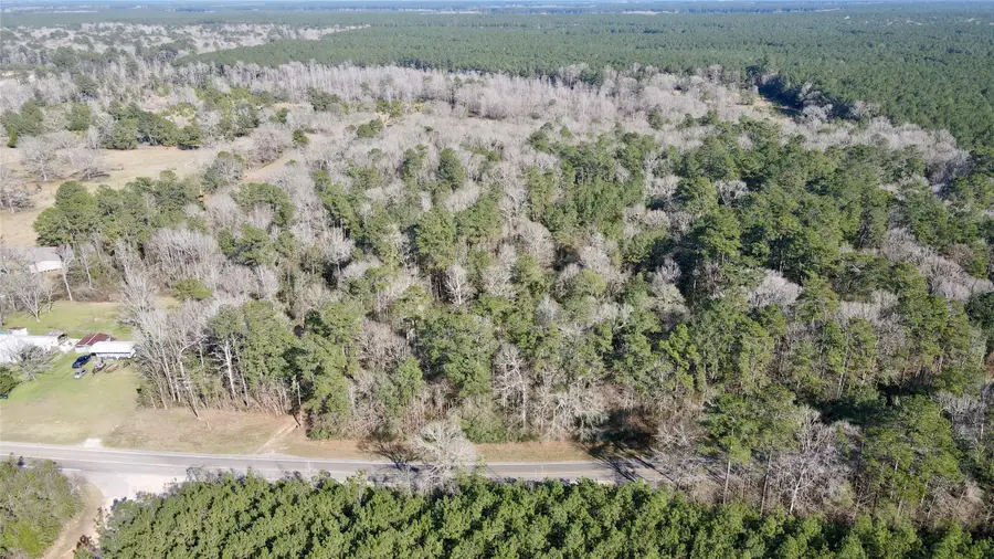 000 Fm 2798, Livingston, TX 77351 - #2