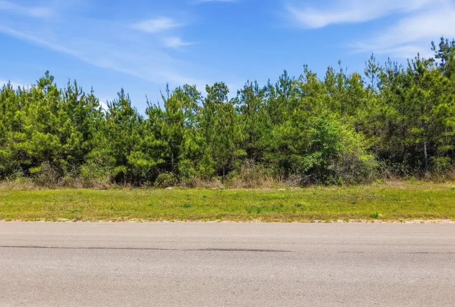 16166 Forest Mill Road, Willis, TX 77378 - #3