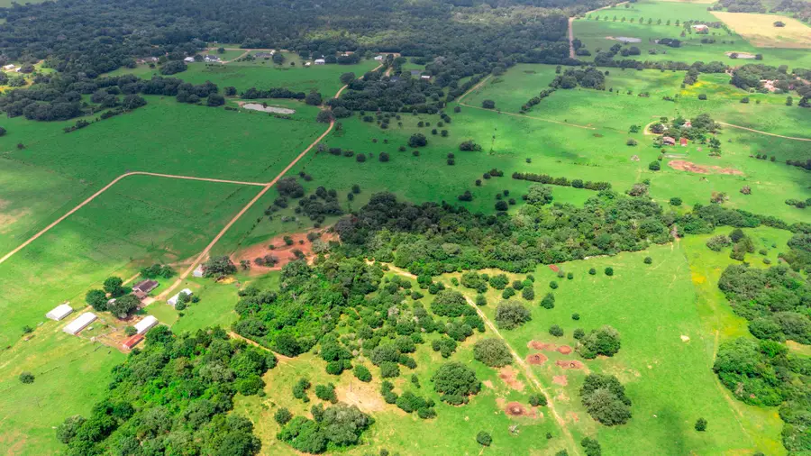 1017 New Ulm Road, Cat Spring, TX 78933 - Image #3