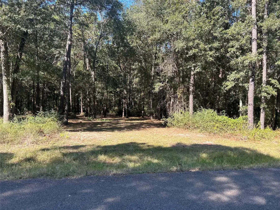 24445 Pipestem Drive, Magnolia, TX 77355 - #2