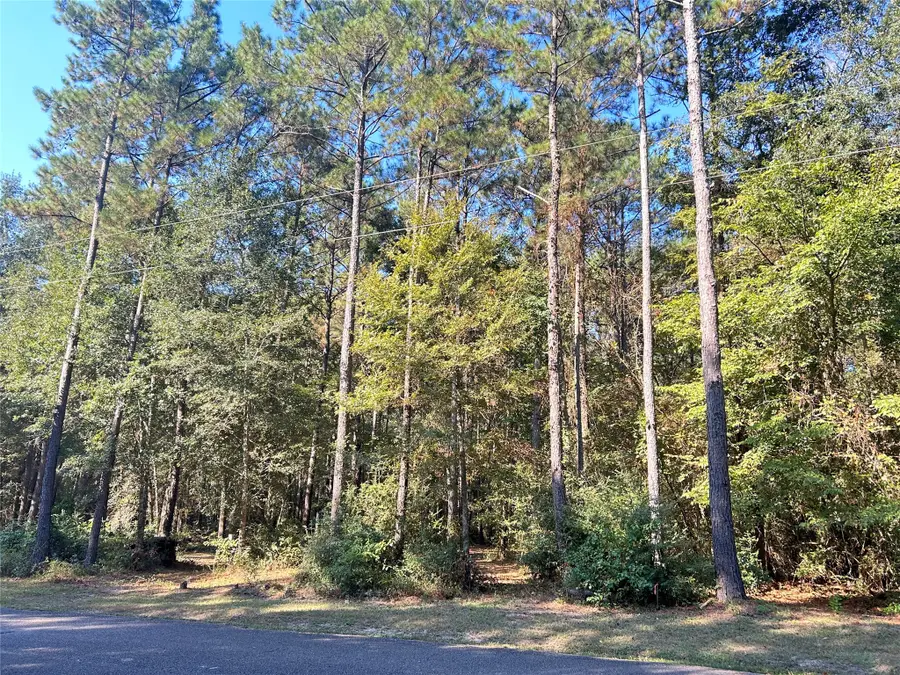 24445 Pipestem Drive, Magnolia, TX 77355 - #3