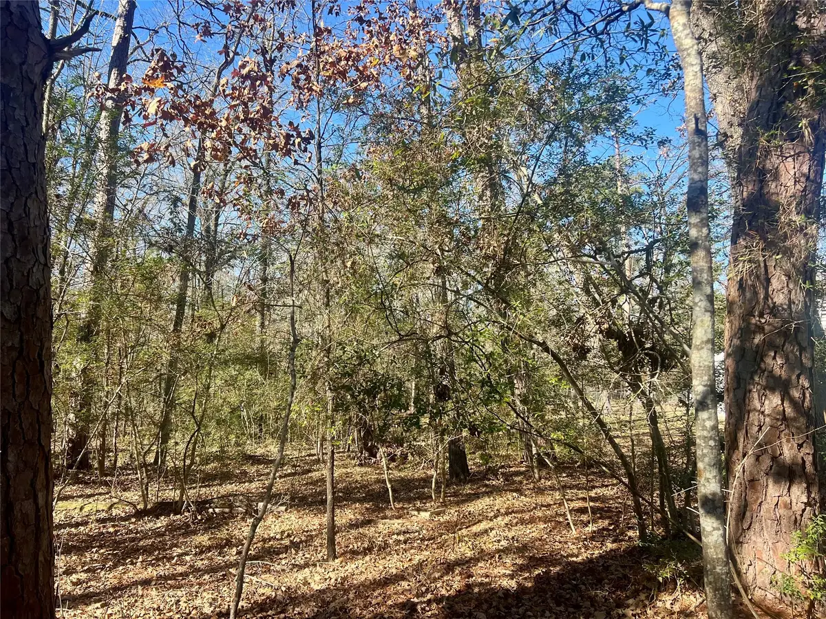 TBD Hackberry Drive, Onalaska, TX 77360 - #1