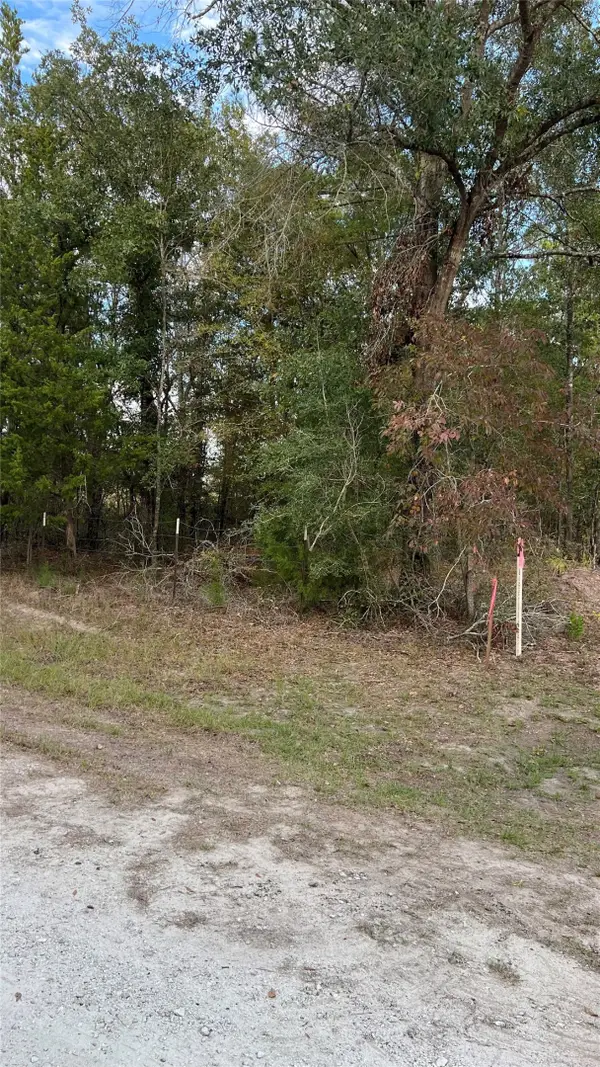 0 Walker Lane, Huntsville, TX 77341