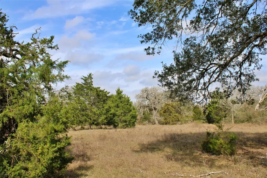 TBD Parcel 8 Lobo Lane, Columbus, TX 78934 - #2