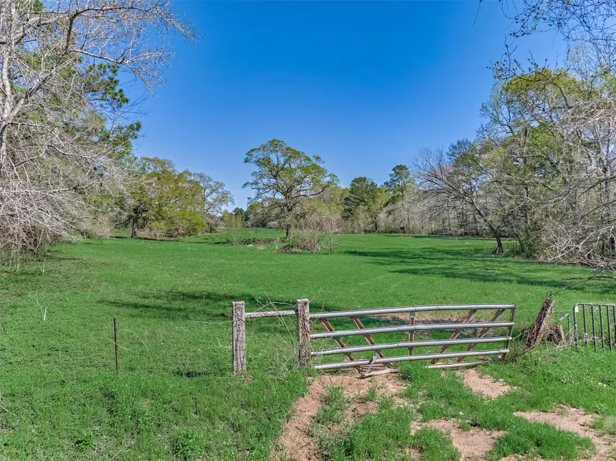 TBD Bailey Grove Rd, Montgomery, TX 77356 - #2
