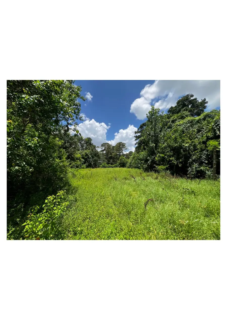 000 Bland Street, Houston, TX 77091 - #3