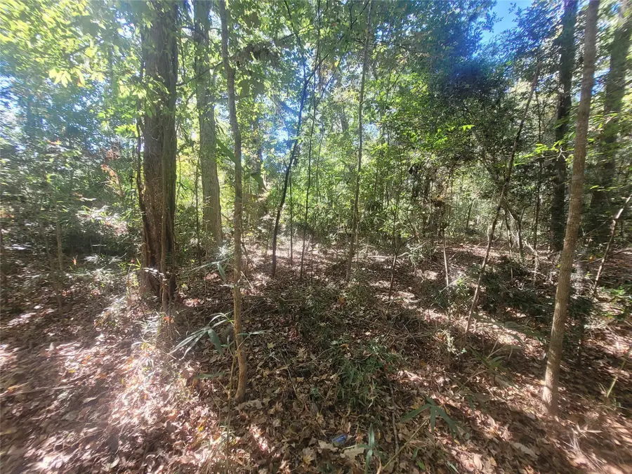 0 Lakeside Drive, Cleveland, TX 77327 - Image #2