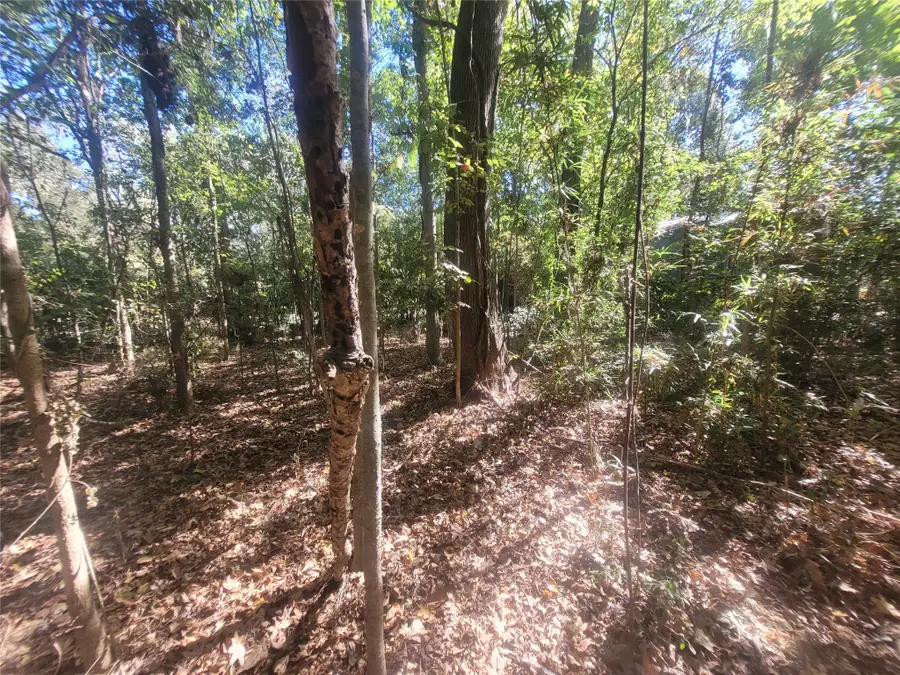 0 Lakeside Drive, Cleveland, TX 77327 - Image #3