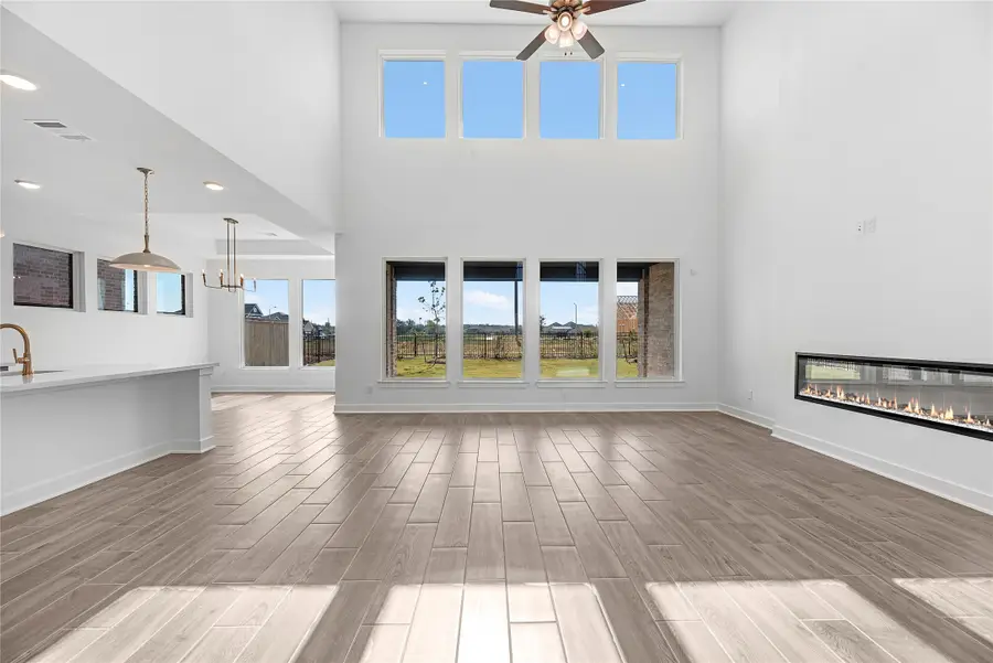 32449 Forktail Lake Drive, Fulshear, TX 77441 - Image #3