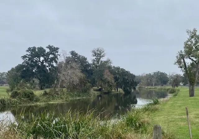 218 Cattle Drive Trail, Angleton, TX 77515 - Image #3