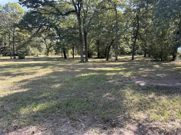 TBD Deer Trail, Hockley, TX 77447