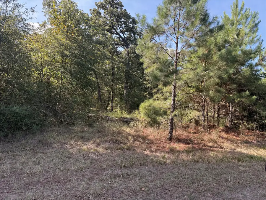 TBD Deer Trail, Hockley, TX 77447 - #2