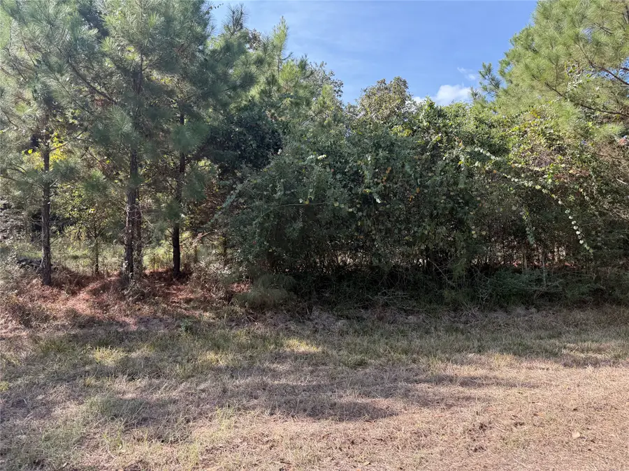 TBD Deer Trail, Hockley, TX 77447 - #3