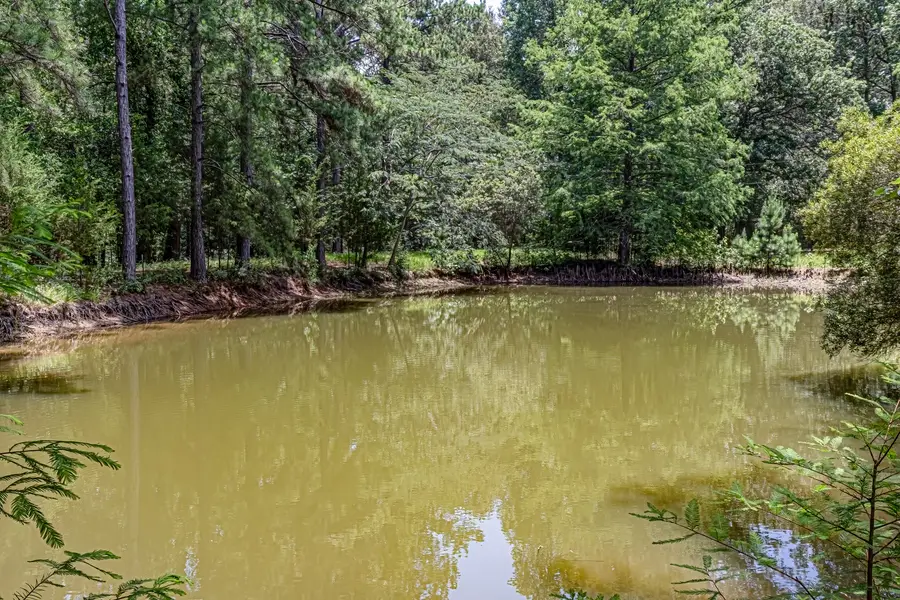 1002 Willson Road, Livingston, TX 77351 - #3