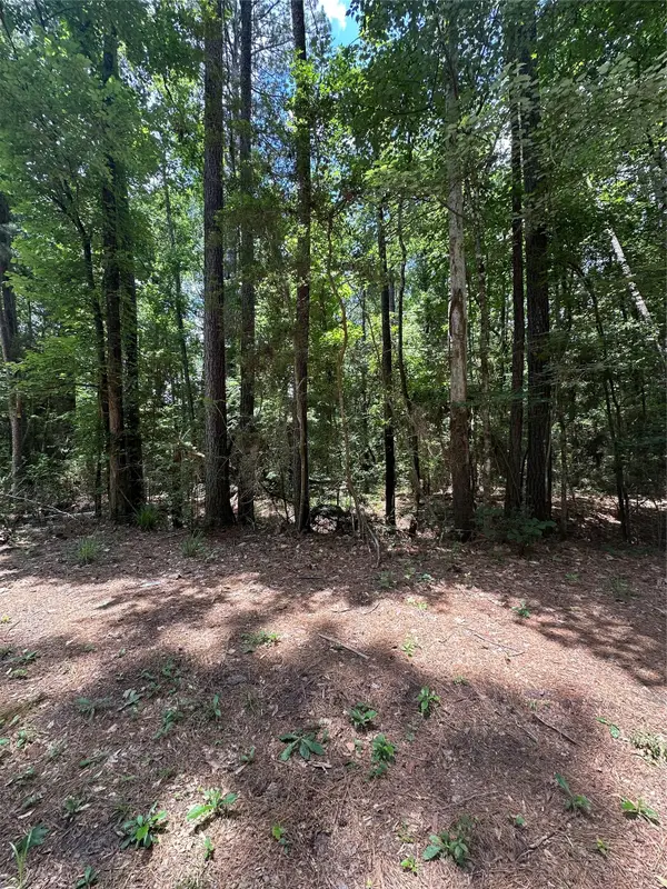 0 Royal Estates Dr, Conroe, TX 77303
