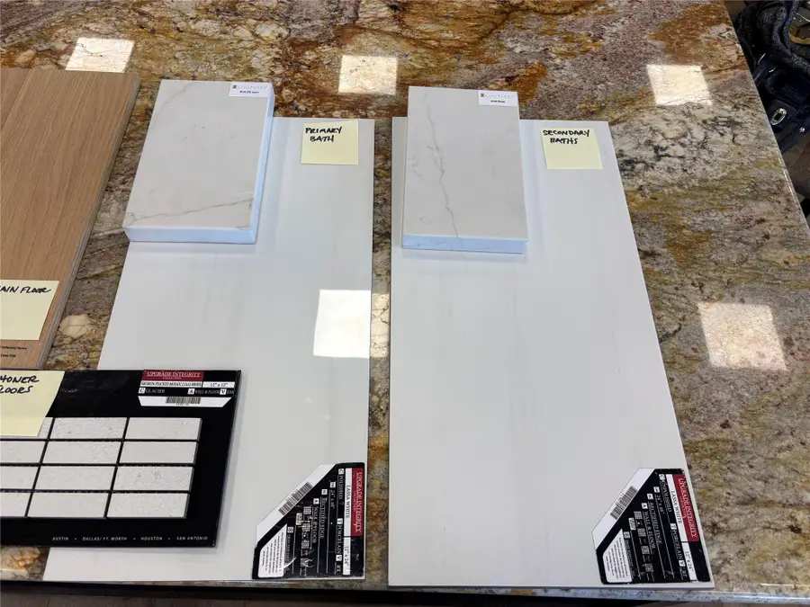 4578 Blue Agave Way, Montgomery, TX 77316 - Image #2