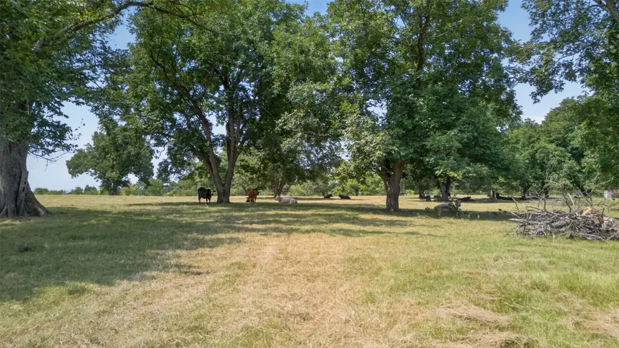 0 State Highway 155, Frankston, TX 75763 - #3