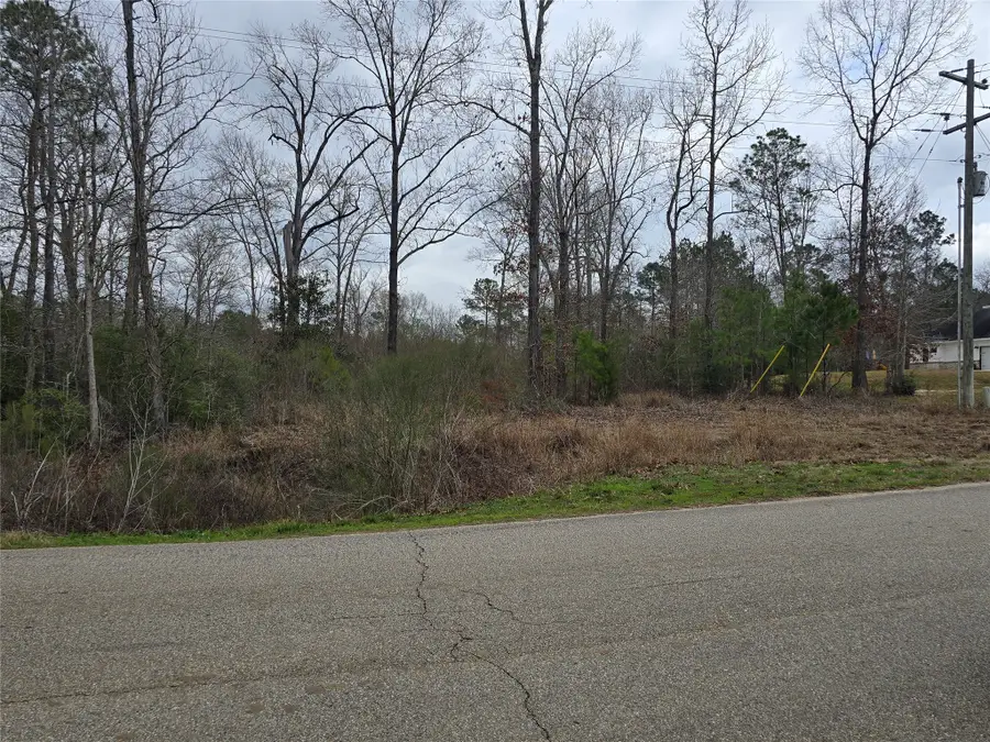 74 County Road 6323, Dayton, TX 77535 - #3