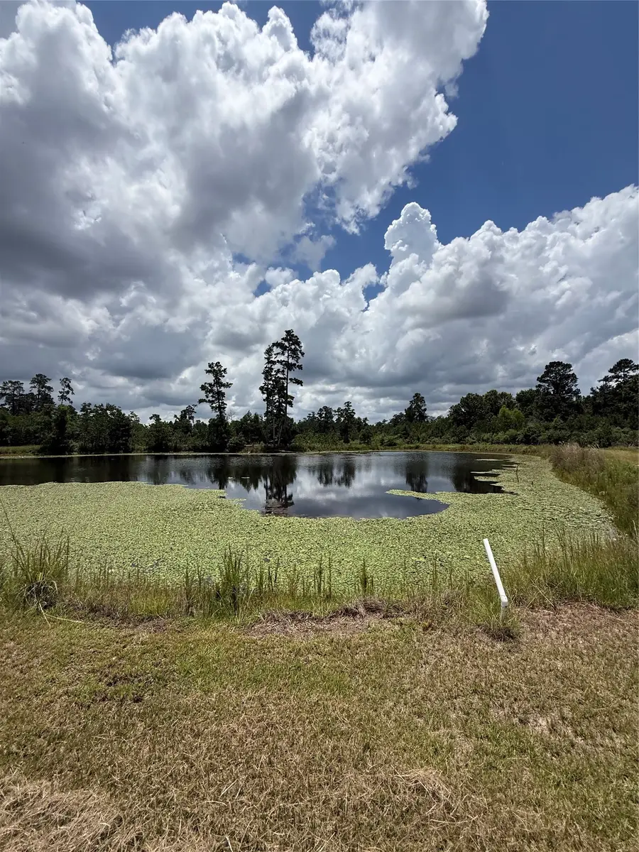 285 Fm-1725, Cleveland, TX 77328 - #3