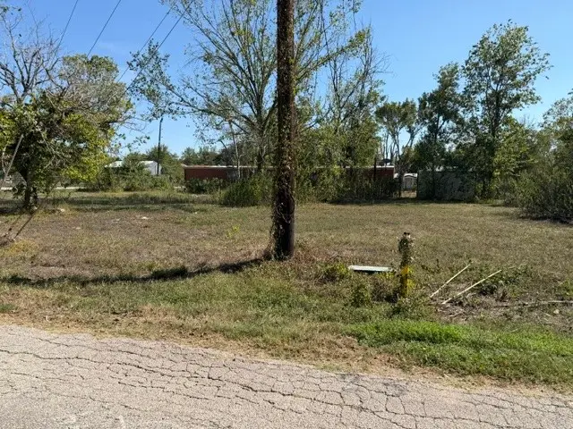 1702 Courtney Road, Navasota, TX 77868 - #2